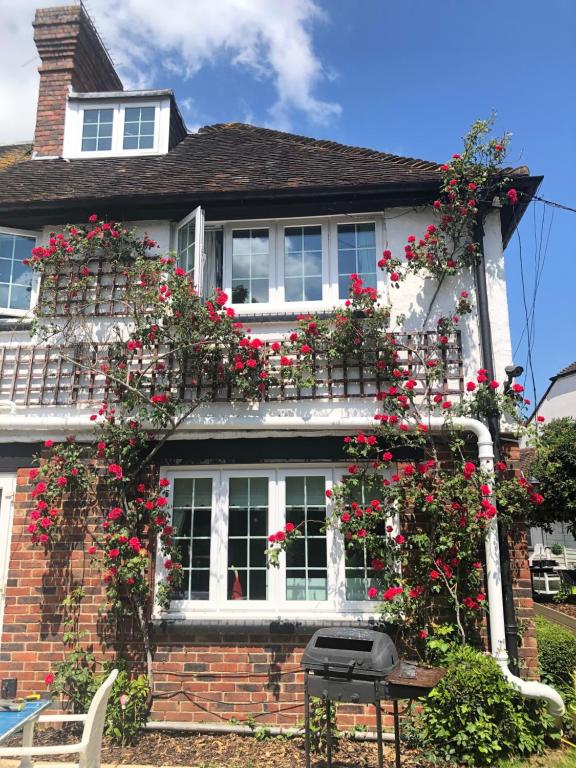 The rose-covered garden elevation of Hazelwick